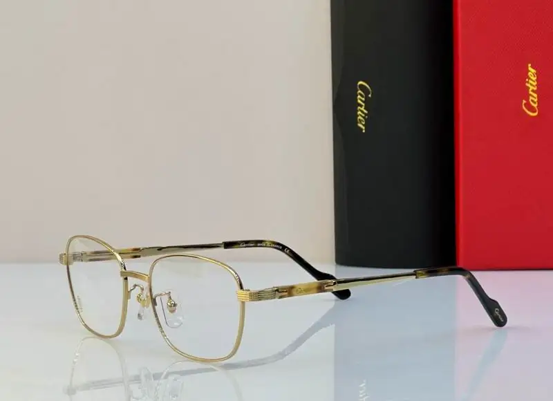 Cartier plain Glasses (110)